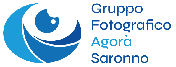 Logo GFAS